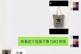 六盘水为什么选择专业追讨公司来处理您的债务纠纷？